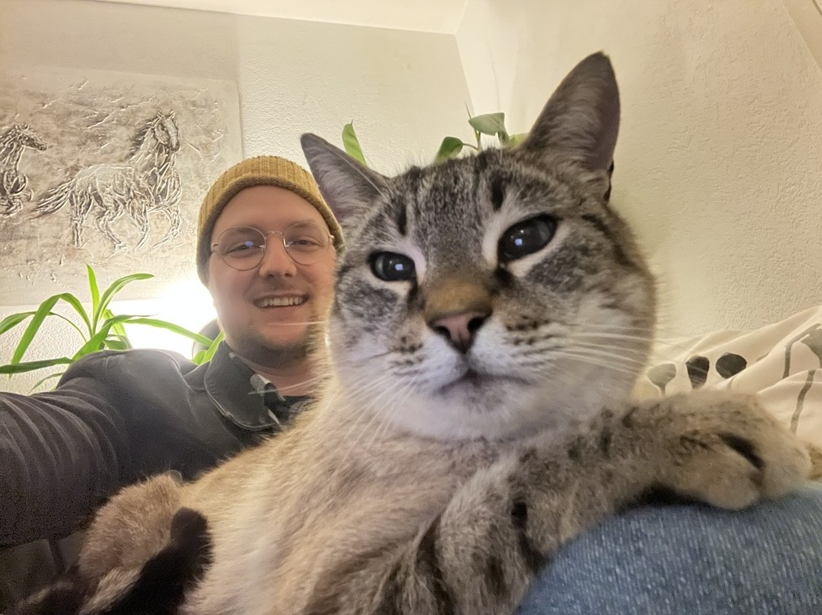 Joe le chat, c'est lui.