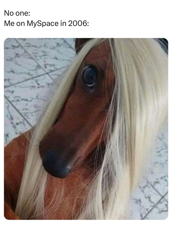 Die lustigsten Memes der Woche