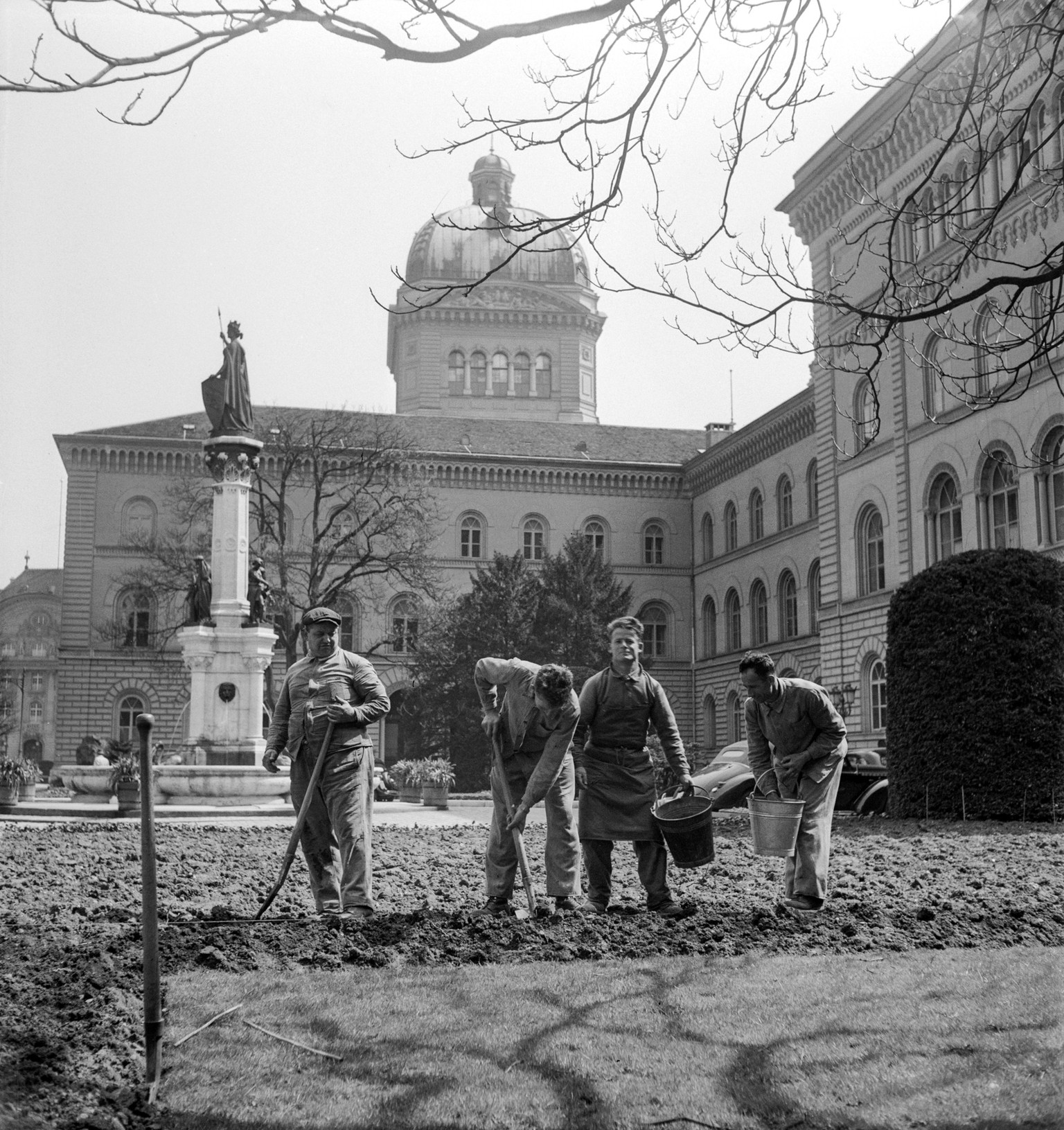 Potatoes are planted on the Bundesplatz in Berne, Switzerland, during the "Anbauschlacht", the Swiss war-time farming approach, undated image. (KEYSTONE/PHOTOPRESS-ARCHIV/Str)

Vor dem Bunde ...