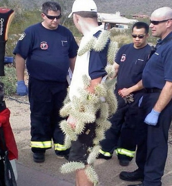 Cactus Fail Ouch