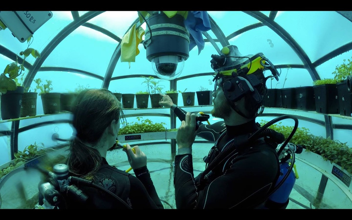 Projekt Nemo's Garden – Gewächshäuser auf dem Meeresgrund