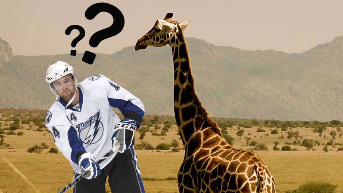 NHLDraftQuiz Hast du das Zeug zum Erstrundendraft oder landest du in Uganda?