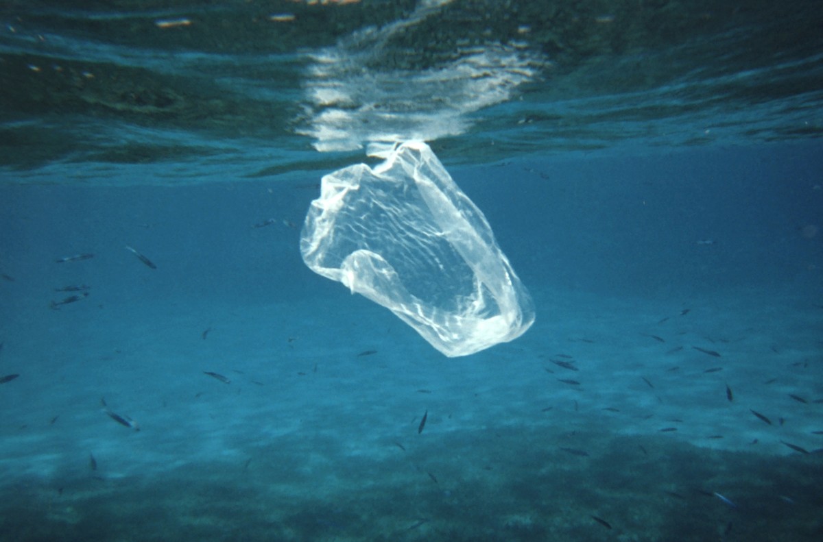 Plastiksack plastic sea mikroplastik micro meer