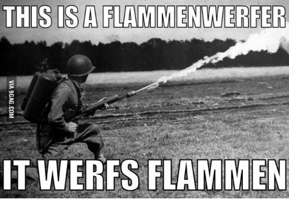 Wie im Horrorfilm😱Monsterspinne crasht Pärchen-Dinner – das reagiert ganz cool
Hans!! Get tzhee Flammenwerfer!