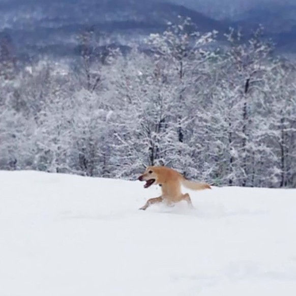 cute news tiere, die mit dem panorama modus fotografiert wurden

https://www.instagram.com/p/Cqi5nkcIkh2/?img_index=10