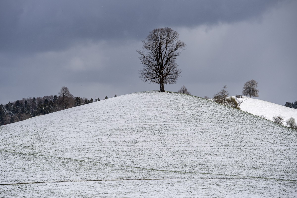 Eine Kaltfront verzaubert die Landschaft in weiten Teilen der Schweiz, wie hier in Sattel im Kanton Schwyz, in der Nacht auf Mittwoch, 7. April 2021 in eine Schneelandschaft. Die Kaltfront, die derzei ...