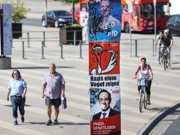 Wahlplakate in Potsdam im deutschen Bundesland Brandenburg, wo der AfD deutliche Gewinne vorhergesagt werden. (Archivbild)