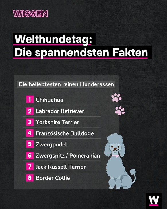 &lt;p&gt;Heute ist Welthundetag! Anlässlich dazu&lt;/p&gt;&lt;p&gt;zeigen wir dir die spannendsten Fakten.&lt;/p&gt;