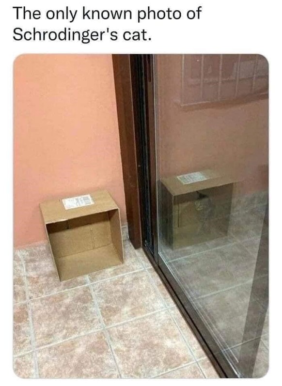 The best memes of the week in the picdump