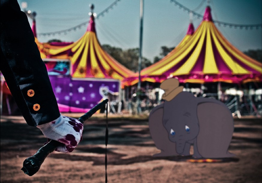 «Dumbo»: Artgerechte Tierhaltung?