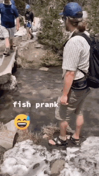 Animiertes GIF