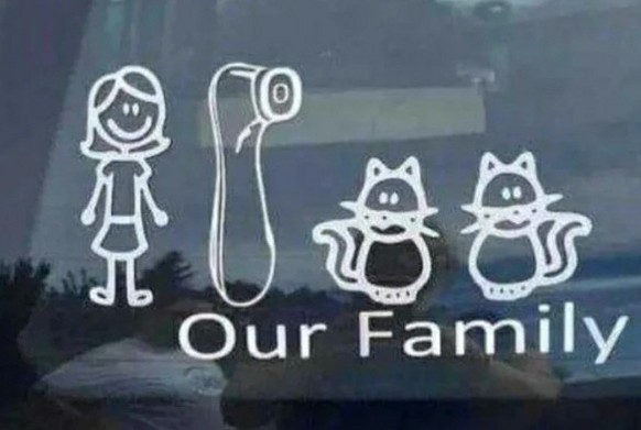 Okay, bei diesen Autoaufklebern mussten auch wir lachen\nIch habe bis heute nicht herausgefunden, was es mit diesen Baby an Board Klebern ausich hat.

Warum teilt man mir das mit?

Vernünftige Infos d ...