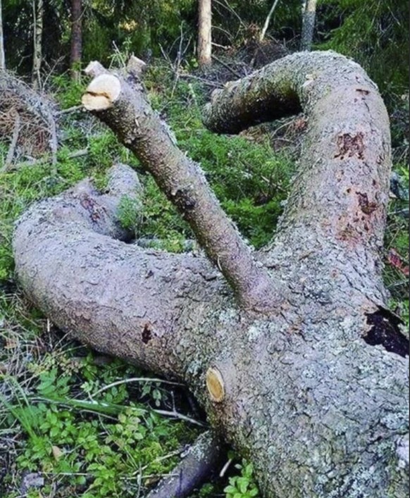 Was ist hier los? Ach, es ist nur deine schmutzige Fantasie ...