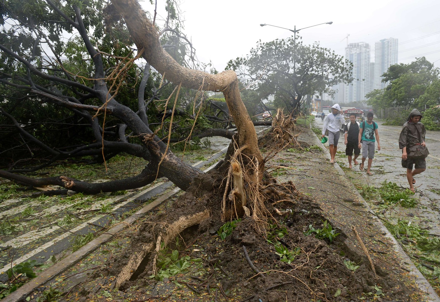 Der Sturm entwurzelte viele Bäume, wie hier in Manila.