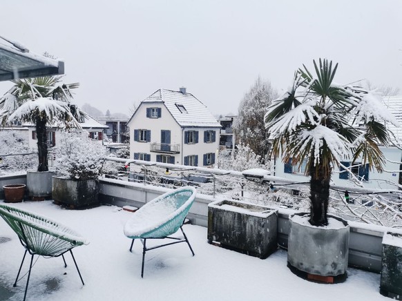 Oerlikon Schnee