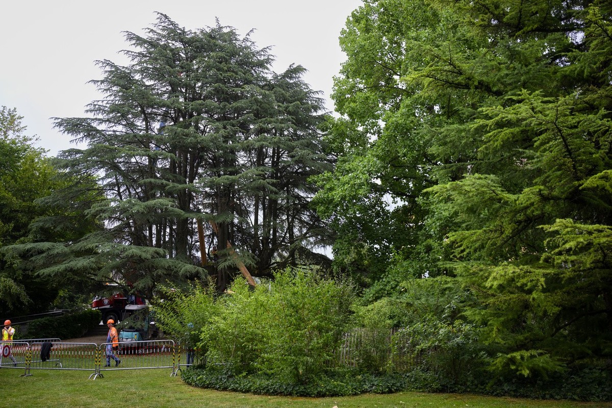 Lausanne a été arrosée par de fortes pluies. Les sols sont gorgés d'eau et les arbres demeurent instables. (KEYSTONE/Laurent Gillieron)