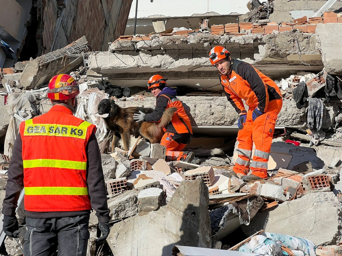 Séisme en Turquie: Redog envoie des chiens suisses