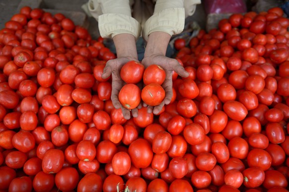 epa12469679 A Pakistani vendor arranges tomatoes at a wholesale vegetable market in Peshawar, Pakistan, 21 October 2025. Tomato prices have soared across Pakistan, being sold in some areas for as high ...