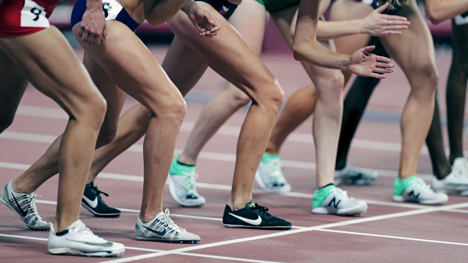 Competitors prepare to start a women&#039;s 1500 meter semifinals at the World Athletics Championships in Doha, Qatar, Thursday, Oct. 3, 2019. (AP Photo/Nariman El-Mofty)