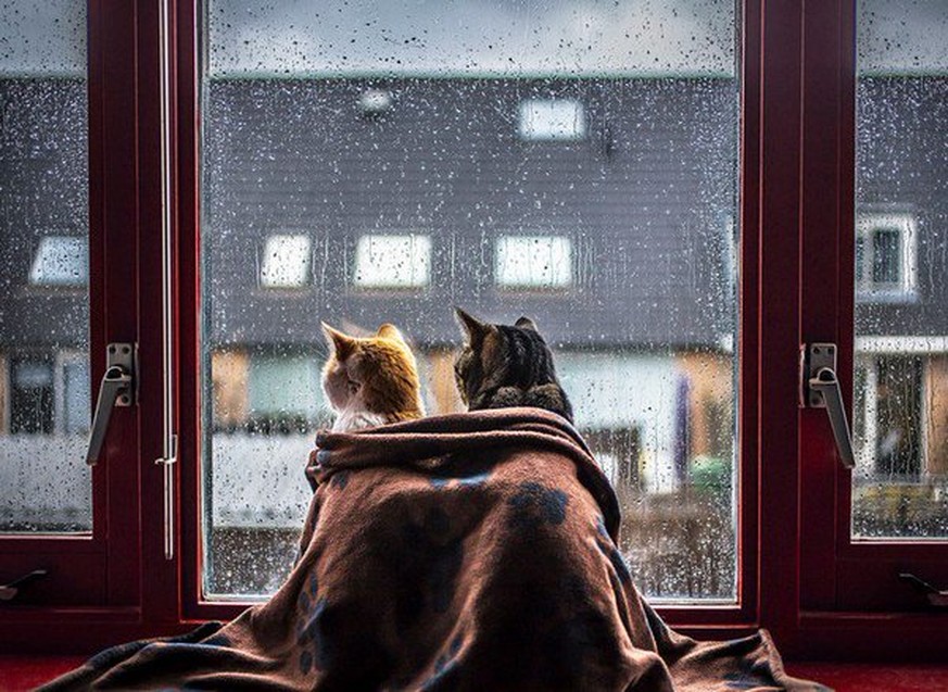 9 Gründe, warum das Sauwetter auch seine guten Seiten hat