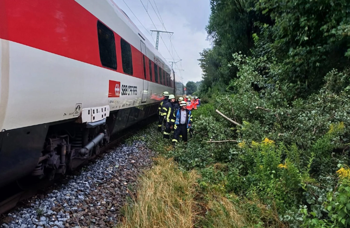 SBB Zug Aichstetten Unfall Baum