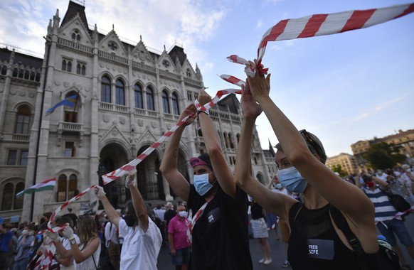 Proteste gegen die Universitäts-Gesetze in Ungarn.