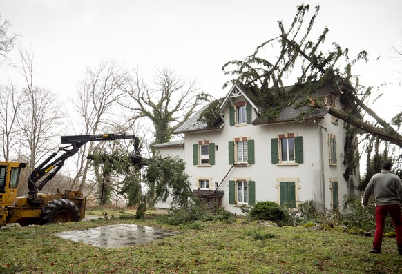 Trees have fallen on a house, in Montmollin, Val-de-Ruz, Switzerland, Monday, February 10, 2020. Severe warnings have been issued for Western and Northern Europe as storm Ciara (also known as Sabine i ...