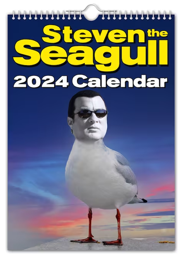 Steven the Seagull 2024 Calendar kalender https://www.etsy.com/listing/1510099009/steven-the-seagull-2024-wall-calendar?ga_order=most_relevant&amp;ga_search_type=all&amp;ga_view_type=gallery&amp;ga_se ...