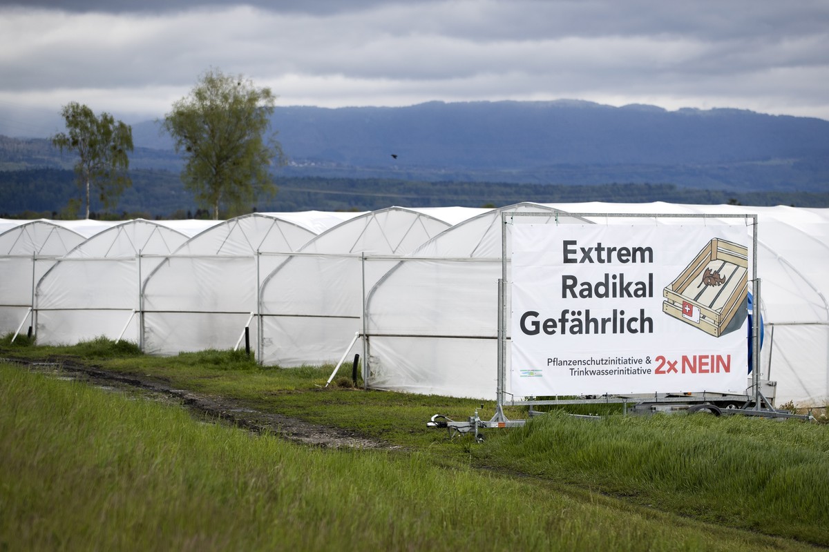 Ein Plakat mit der Aufschrift "Extrem Radikal Gefaehrlich - Pflanzenschutzinitiative und Trinkwasserinitiative 2 x Nein" haengt vor Gewaechshaeusern, am Freitag, 7. Mai 2021 bei Murten. (KEY ...