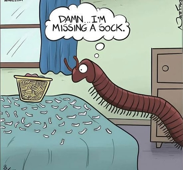 Picdump 196 вЂ“ Endlich wieder Memes!\nрџ§¦