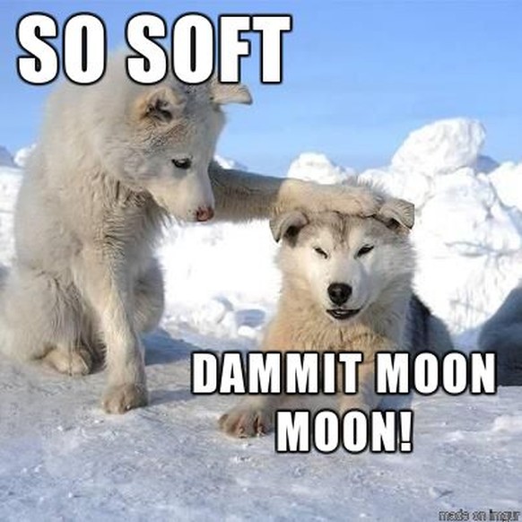 Zeit für lustige Tierbilder! Und danach könnt ihr ins Wochenende
Mehr Husken, aka Moon Moon, bitte :D