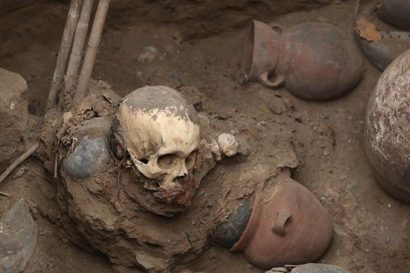 epaselect epa12275812 View of a human skull and some vessels found in a pre-Hispanic archaeological excavation in the Lima district of Puente Piedra, Peru, 31 July 2025. Natural gas pipeline installat ...