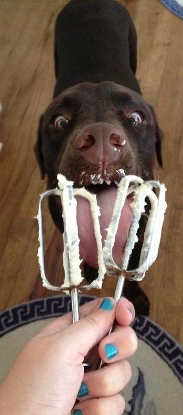 cute news tier hund

https://ch.pinterest.com/pin/1121888957205804901/