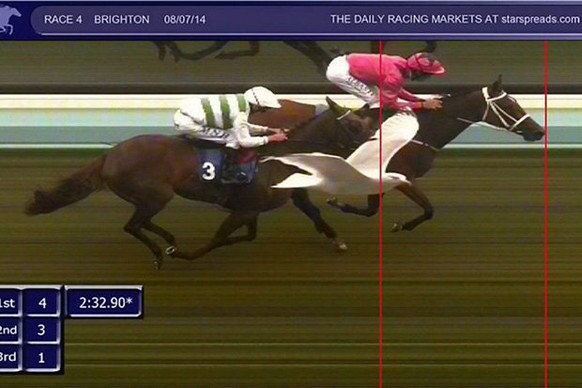 A propos Mövenbesuch bei Pferderennen: Dieser Frechdachs hat gar das Zielfoto «gebombt».