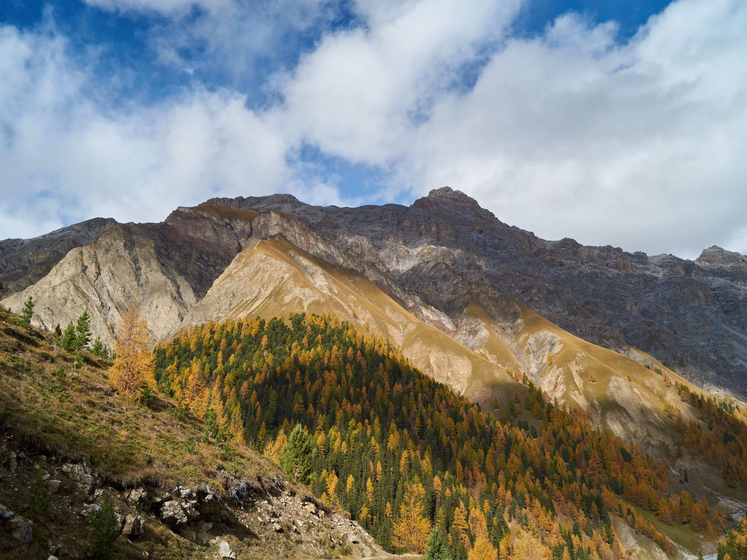 Schweizer Nationalpark