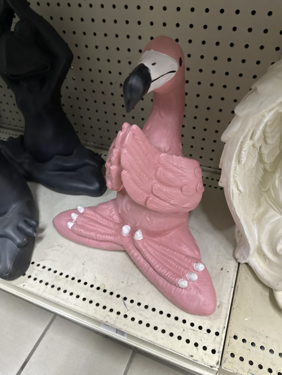 Die lustigsten fails der Woche: Flamingo