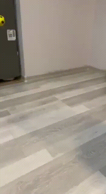 Animiertes GIF