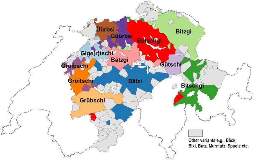 So sagt der Schweizer zum Überrest eines Apfels. Die Universität Zürich hat das Dialekt Äpp entwickelt.&nbsp;