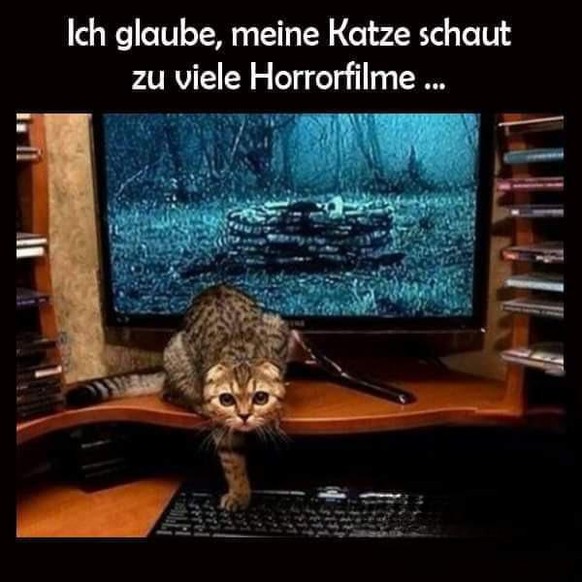 PICDUMP 431 тАУ dieses Jahr ist offiziell beendet! Hoi, 2023! ЁЯе│ЁЯН╛\nЁЯдФЁЯШБ