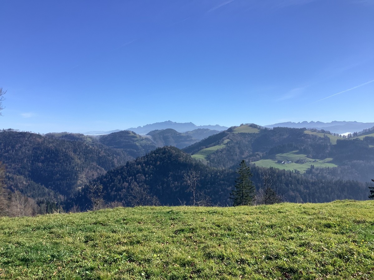 MAZ-Medienwoche Wanderungen Nebel