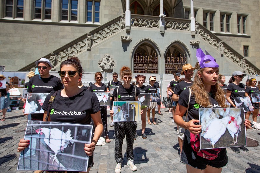 Demo gegen Nutztierhaltung in Bern, 29.6.2019