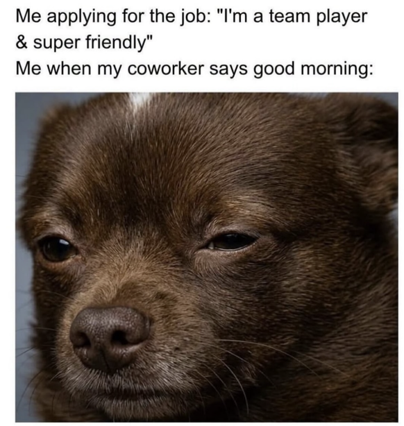 Memes für introvertierte Leute