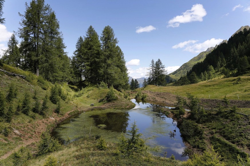 Lärchenwanderungen Lärchen Herbst Beste Herbstwanderungen Schweiz Rauszeit