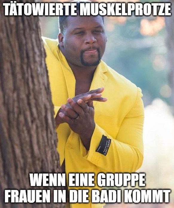 Sommer Memes