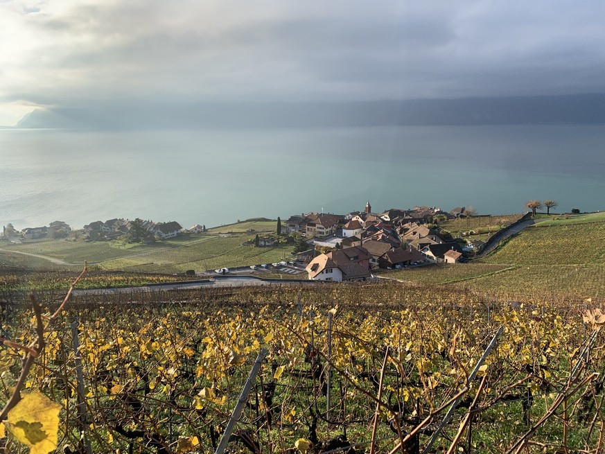 Wellness Spa Wandern Rauszeit Chexbres
