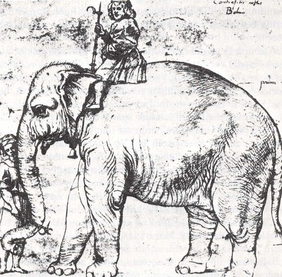 Hanno, 1514; nach einer verschollenen Zeichnung von Raffael.
