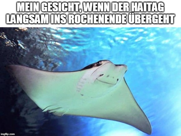 23 Tiere aus den Kategorien Jööö, Haha und WTF?!
Schöne Ferien @Scherrer
Und allen anderen dann ein schönes Rochenende :) Via Zenonz