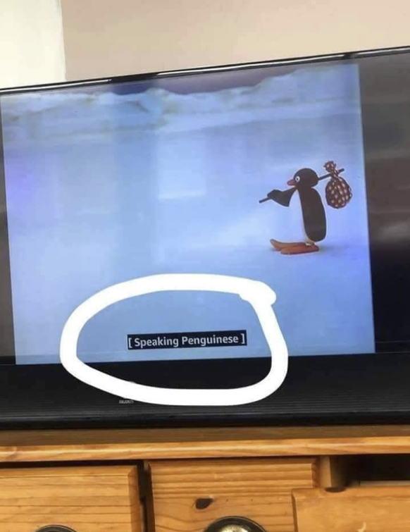 Die lustigsten Fails der Woche