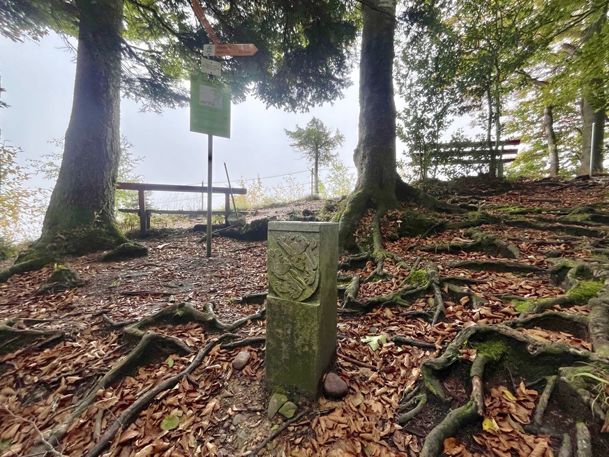 Groot Hohgrat höchster Punkt Kanton Thurgau Rauszeit