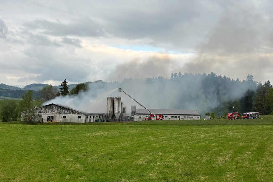 HANDOUT - Vollbrand in einem Schweinestall in Gossau, SG, am Mittwoch, 8. Mai 2024. Der Brand in einem der beiden Staelle konnte mittlerweile unter Kontrolle gebracht werden. Das angrenzende Wohnhaus  ...